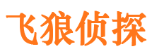 环翠市调查公司